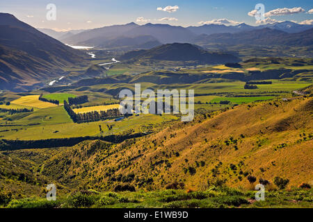 Paddocks farmland in Kawarau River Valley vicino a Queenstown visto il Crown Range Road Central Otago Isola del Sud della Nuova Zelanda. Foto Stock