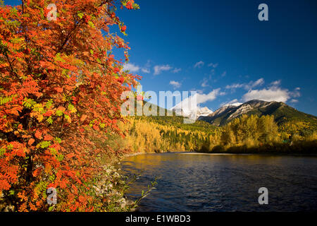 Elk River e tre sorelle in autunno, Fernie, BC, Canada. Foto Stock