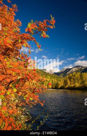 Elk River e tre sorelle in autunno, Fernie, BC, Canada. Foto Stock