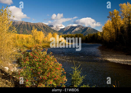 Elk River e tre sorelle in autunno, Fernie, BC, Canada. Foto Stock