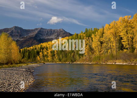 Elk River e Lizard gamma in autunno, Fernie, BC, Canada. Foto Stock