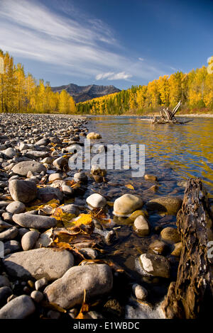 Elk River e Lizard gamma in autunno, Fernie, BC, Canada. Foto Stock