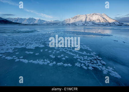 I cristalli di ghiaccio crescono sulla superficie gelata Lago Kluane con pecore di montagna di illuminazione a distanza. Parco Nazionale Kluane Yukon. Foto Stock