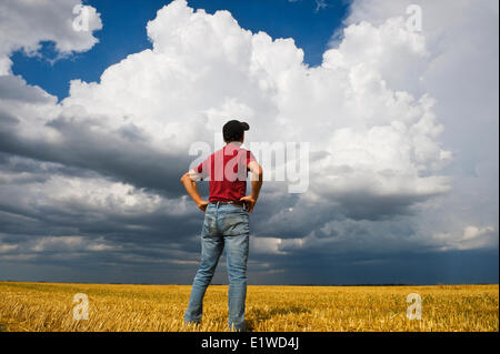 Un uomo si affaccia su un raccolto sul campo di avena con una massiccia cumulonimbus cloud accumulo in background nei pressi di Dugald Manitoba Foto Stock