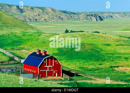 Granaio rosso, Big Muddy Badlands, Saskatchewan, Canada Foto Stock