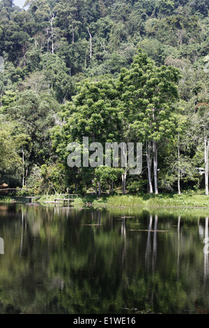 Ingresso della Khao Phra Thaeo National Park, Phuket, Tailandia Foto Stock