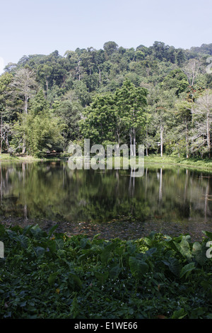 Ingresso della Khao Phra Thaeo National Park, Phuket, Tailandia Foto Stock