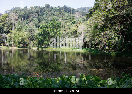 Ingresso della Khao Phra Thaeo National Park, Phuket, Tailandia Foto Stock