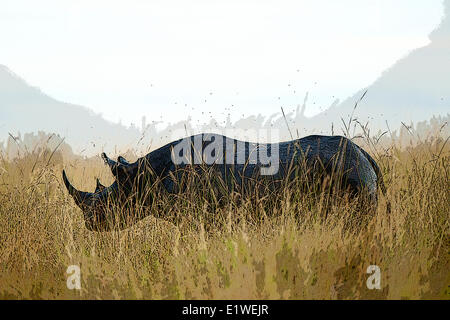 Rinoceronte bianco, Ceratotherium simum Foto Stock