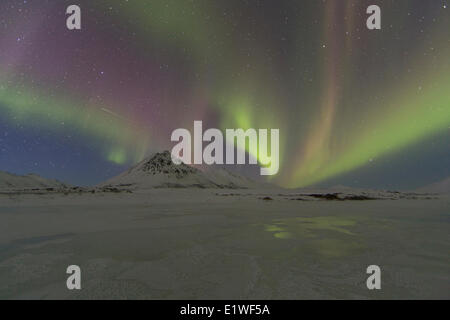 Aurora boreale o luci del nord la danza attraverso il cielo notturno, Dempster Highway, Yukon. Foto Stock