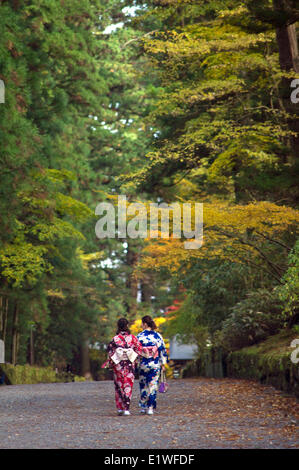 Due donne giapponesi in kimono camminare in un vicolo in Nikko , Giappone Foto Stock