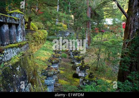 Lanterne di pietra del Santuario Futarasan in Nikko, Giappone Foto Stock