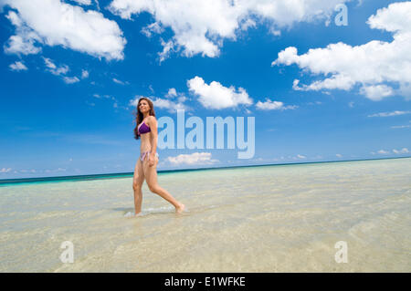 Scorazzare sulla spiaggia di Las Terrenas, Repubblica Dominicana Foto Stock