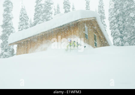 Una femmina di backcountry rider in polvere profonda sotto ghiacciaio Lodge, backcountry Ski lodge nelle Montagne Rocciose Canadesi a nord di Golden, Foto Stock