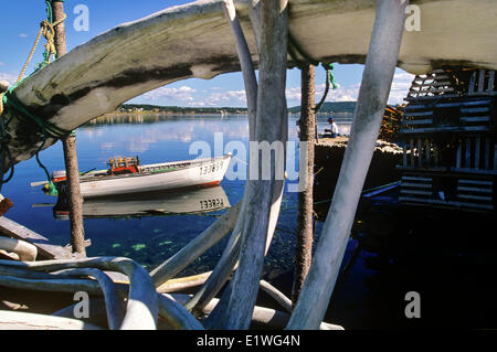 Le ossa di balena sul pontile in legno incorniciata dory e fisherman, Dildo, Terranova, Canada Foto Stock