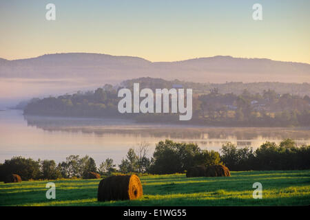 Balle di fieno in mattina presto luce, Kennebecasis River, New Brunswick, Canada Foto Stock