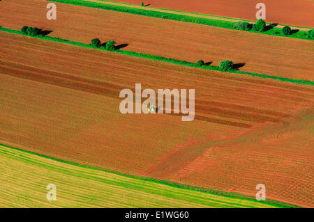 Erpicando campo di patate, Colle Tea,Prince Edward Island, Canada Foto Stock