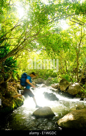 Un maschio di un escursionista sul Kalalau Trail Kaua'i; attraversando il torrente principale che si esaurisce la valle Kalalau appena prima l'area campeggio Foto Stock