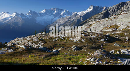 Escursionista in bacino di Eremita Monte Giove cupola il bastione a monte Abbott Mount Swanzy Clarke montaggio picco Bonney Cheope Mountain Foto Stock