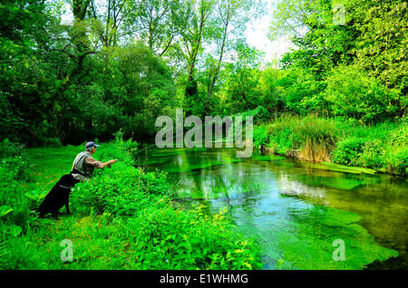 Fiume Itchen Chalkstream Inghilterra Foto Stock