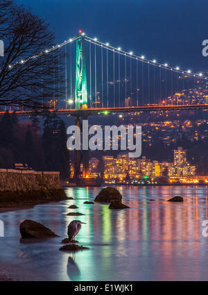 Airone blu e Ponte Lions Gate, Vancouver, B.C. In Canada. Foto Stock