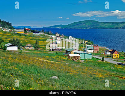 Vicino a Trinità Bonavista Penninsula;Canada;East rivestire;Terranova e Labrador Foto Stock