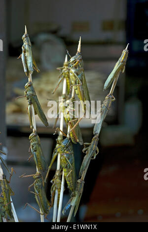 Cavallette commestibile per la vendita in un mercato di strada nell'area di Wangfujing, Pechino, Cina Foto Stock