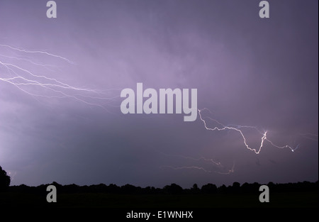 Tuoni e fulmini alla fine di un caldo e moistly giorno d'estate in Paesi Bassi Foto Stock