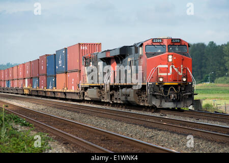 Un CN (Canadian National Railway) contenitore treno in direzione est attraverso Matsqui, BC, Canada. Foto Stock