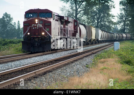 Un CP (Canadian Pacific) grano teste in treno verso il porto di Vancouver in Matsqui, BC, Canada. Foto Stock