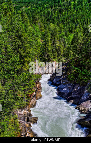 Bull fiume ad alto livello che infuriano attraverso il canyon in British Columbia, Canada Foto Stock