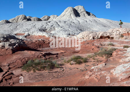 Escursionista presso White Pocket, paria Canyon - Vermillion Cliffs Wilderness, Arizona, Stati Uniti Foto Stock