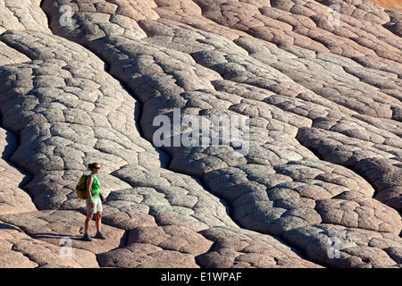 Escursionista presso White Pocket, paria Canyon - Vermillion Cliffs Wilderness, Arizona, Stati Uniti Foto Stock