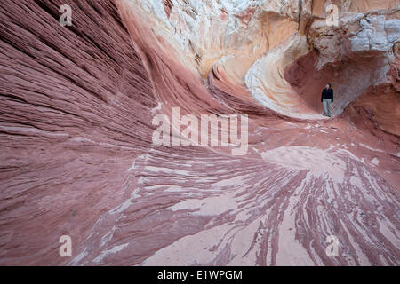 Escursionista in formazioni di arenaria a tasca bianco, paria Canyon - Vermillion Cliffs Wilderness, Arizona, Stati Uniti Foto Stock