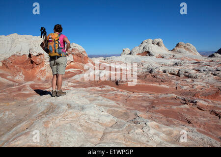 Escursionista presso White Pocket, paria Canyon - Vermillion Cliffs Wilderness, Arizona, Stati Uniti Foto Stock