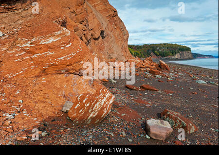 Il Wasson Bluff nella Baia di Fundy dove alcuni la più antica del mondo resti di dinosauri sono stati trovati in rosso le rocce sedimentarie. Bassa Foto Stock