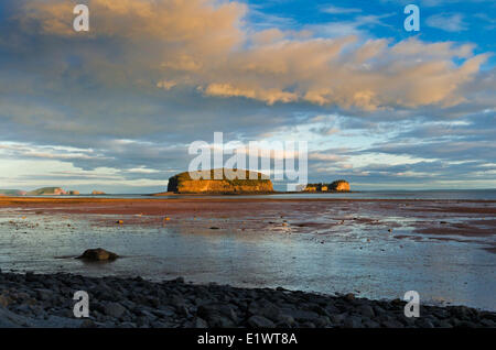 Baia di Fundy a bassa marea. Alle Isole Brothers situato al di fuori della testa di Clarke nel Minas Basin, Nova Scotia. In Canada. Foto Stock