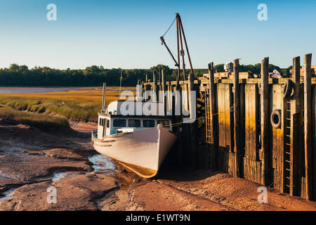 Barca da pesca bloccati sul fango appartamenti a bassa marea nel Minas bacino. Baia di Fundy. Delhaven, Nova Scotia. In Canada. Foto Stock