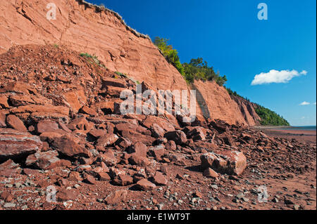 Triassico rocce sedimentarie a Blomidon Parco Provinciale faccia costante erosione dalla Baia di Fundy maree. Minas Basin, Nova Scotia. Foto Stock