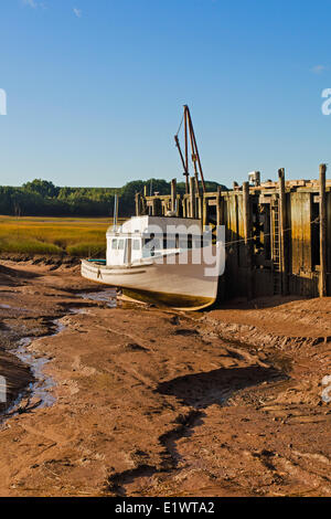 Barca da pesca bloccati sul fango appartamenti a bassa marea nel Minas bacino. Baia di Fundy. Delhaven, Nova Scotia. In Canada. Foto Stock