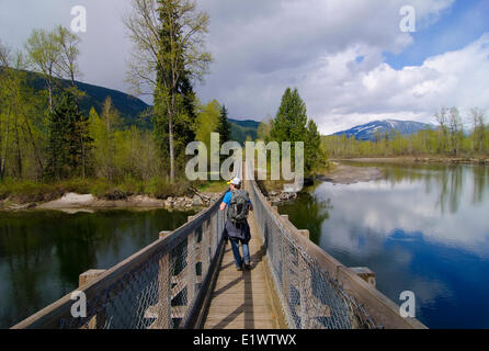 Malakwa ponte di sospensione, Eagle River, Malakwa, British Columbia, Canada, signor 001 Foto Stock
