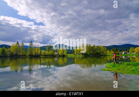 Mountain bike, Shuswap River, Grindrod, British Columbia, Canada, signor 001 Foto Stock