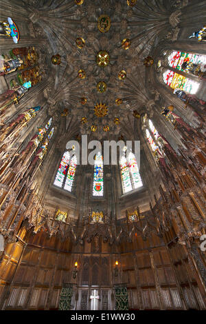 Soffitto alto di Thistle Cappella di San Giles' Cattedrale, Edimburgo, Scozia Foto Stock
