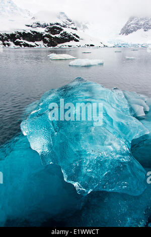 Paradise Bay, Penisola Antartica Foto Stock