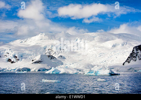 Neko Harbour, Penisola Antartica Foto Stock