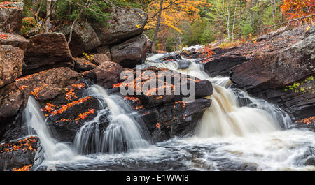 La York fiume scorre lungo le alte cascate trail nel South End Algonquin Park Ontario. Foglie colorate umettare le rocce come Foto Stock