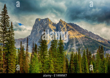 Montare Burgess, Parco Nazionale di Yoho, British Columbia, Canada Foto Stock