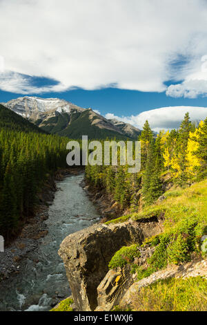 Picco Highwood, pecore fiume Parco Provinciale, Kananaskis, Alberta, Canada Foto Stock