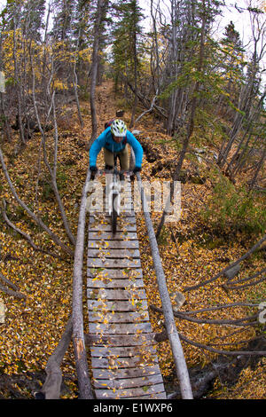 Un maschio di mountain biker giostre incredibili sentieri di Carcross, Yukon durante i colori dell'autunno. Foto Stock