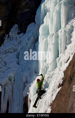 Un maschio ice climber lavora per la sua strada la bella e soleggiata ice salita denominata fungo maligno WI5 in Ghost River Valley, AB Foto Stock